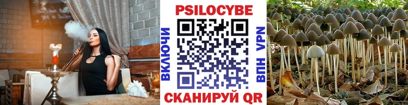 Галлюциногенные грибы ЛСД  Купить  Купино 